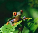 Avatar de l’utilisateur